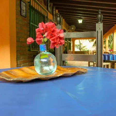 Casa La Potranca Apartment Puerto Vallarta Exterior photo